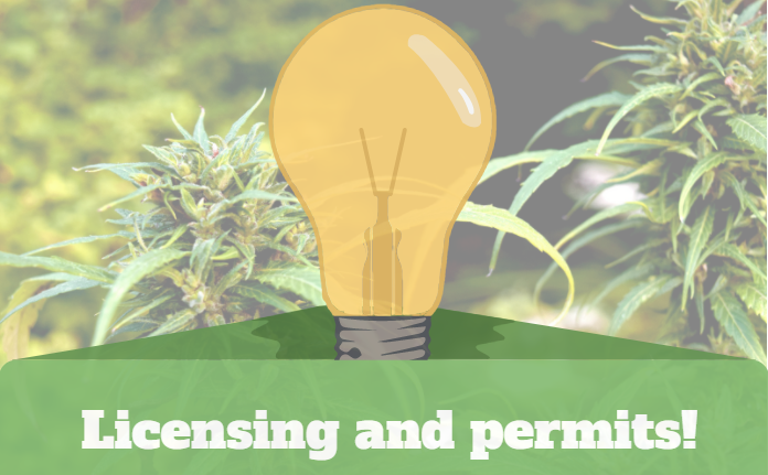 Licensing and permits